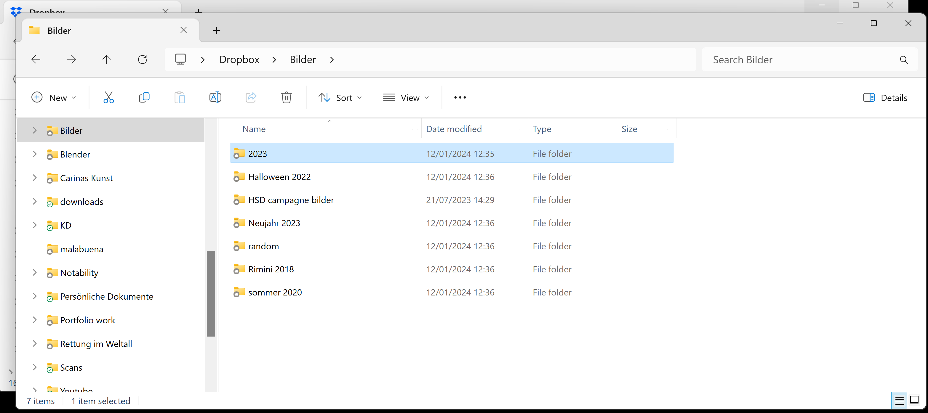 Screenshot 2024-01-12 123647.png